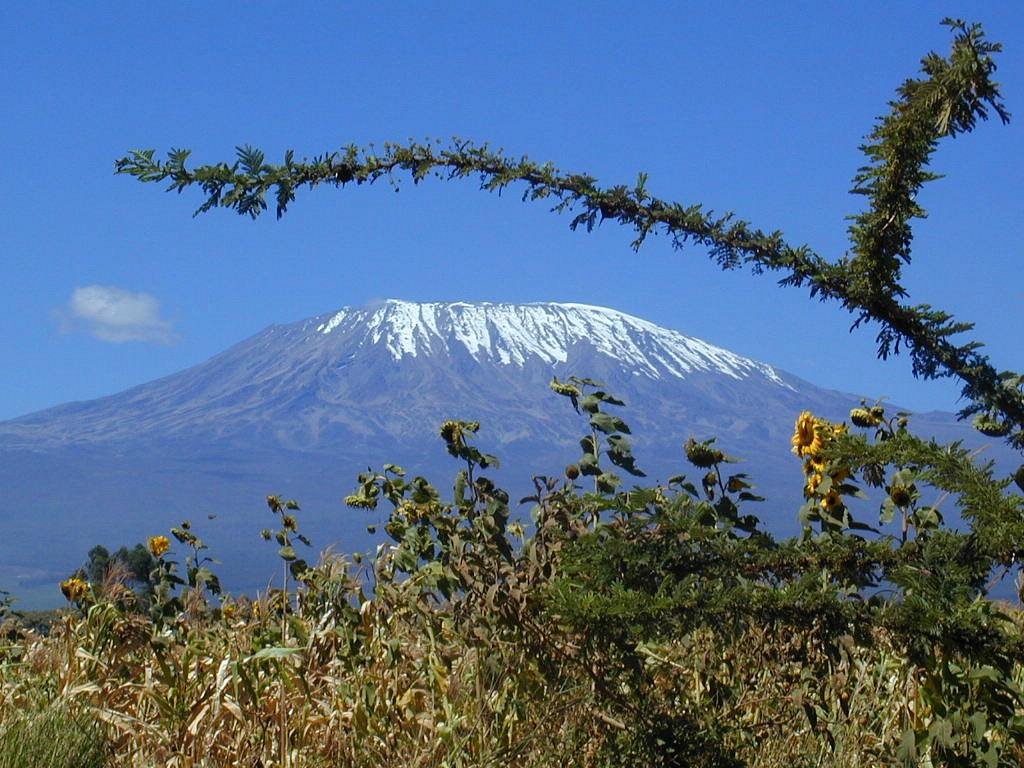 mount kilimanjaro